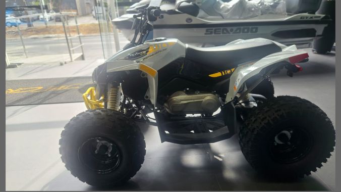 02 Can Am Renegade 110 2024