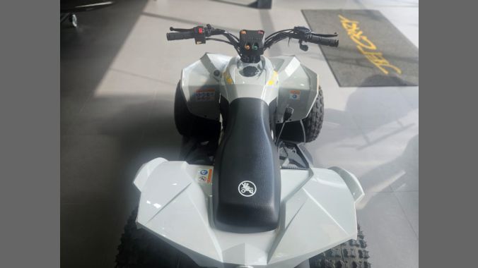 03 Can Am Renegade 110 2024