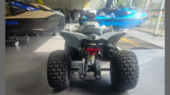 04 Can Am Renegade 110 2024